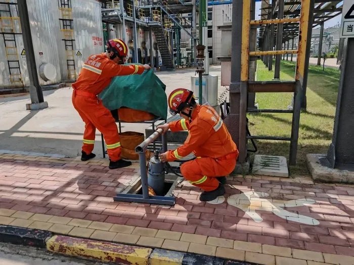 1756201641128277.jpg 1756201641128277.jpg